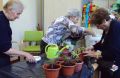 jardineria_residencia_ancianos